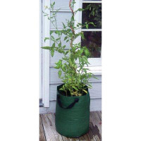 Bosmere Patio Tomato Plastic Pot Planter