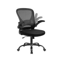 Inbox Zero Mesh Office Chair, Home Office Desk Chair With Flip Arm And Lumbar Support, Height Adjustable, Black