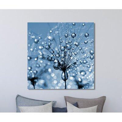 Picture Perfect International 'Dandelion Flower Close Up' Photographic Print on Wrapped Canvas in Home Décor & Accents