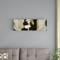 East Urban Home 'Close-Up of Calla Lily Flowers Growing on Plant II' Photographic Print on Canvas