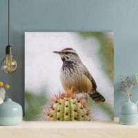 Foundry Select Brown Hummingbird Perching On Green Cactus Plant - 1 Piece Square Graphic Art Print On Wrapped Canvas