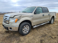Parting out WRECKING: 2009 Ford F150 4x4 Parts