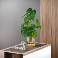 Primrue Real Touch 17.5-Inch Artificial Plants Green Monstera Leaves In Glass Vase With Faux Water, River Stones, And Wo