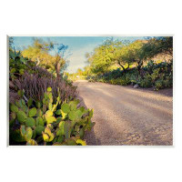 Stupell Industries Roadside Greenery Botanicals Arid Desert Cactus Plants Wall Plaque Art By Bill Carson Photography