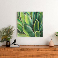 Made in Canada - Bay Isle Home™ 'Agave Plant' Oil Painting Print on Wrapped Canvas