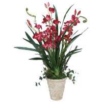 Bay Isle Home™ Orchid Plant in Pot
