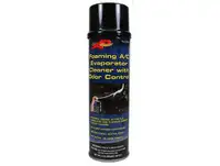 EVAPORATOR CLEANER WITH ODOR CONTROL    307-914