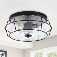 Williston Forge Jaidel 2-Light Matte Black Clear Glass Industrial Dimmable Iron Ceiling Lamps