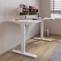 Inbox Zero Modern And  Dual Motor Standing Desk With Advanced Features