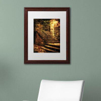 Trademark Fine Art 'Abandoned Stone Staircase' by Lois Bryan Framed Photograph
