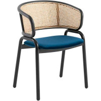 Bay Isle Home™ Bay Isle Home™ Selmer Dining Chair With Stainless Steel Legs Velvet Seat and Wicker Back