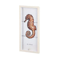 Rosecliff Heights Seahorse II
