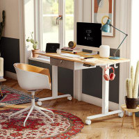 Inbox Zero Modern Light Electric Standing Desk Ergonomic Adjustable Sturdy Easy Installation
