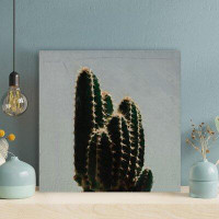 Foundry Select Green Cactus Plant During Daytime 1 - 1 Piece Square Graphic Art Print On Wrapped Canvas
