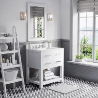 Lark Manor Timaios 30" Single Bathroom Vanity Set with Mirror