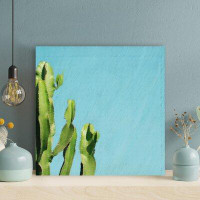 Foundry Select Green Cactus Plant 23 - 1 Piece Square Graphic Art Print On Wrapped Canvas
