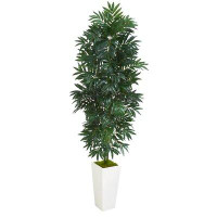 Bay Isle Home™ Bamboo Floor Palm Tree in Planter