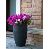 Made in Canada - Charlton Home Tirrell Self-Watering Plastic Pot Planter