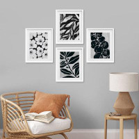 SIGNLEADER Black & White Daisy Flower Plant Leaf Fruit Set of 4 Floral Botanical Wall Decor Framed Prints