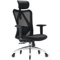 Hokku Designs Ergonomic Office Chair, Mesh Computer Desk Chair With Adjustable Sponge Lumbar Support, Thick Cushion, Pu