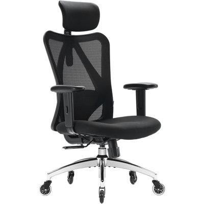Hokku Designs Ergonomic Office Chair, Mesh Computer Desk Chair With Adjustable Sponge Lumbar Support, Thick Cushion, Pu  in Desks