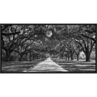 Global Gallery Tree Lined Plantation Entrance, South Carolina Framed Photographic Print on Canvas