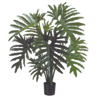 Creative Displays, Inc. Philodendron Plant