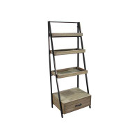 17 Stories 59.06" H x 22.83" W Steel Ladder Bookcase