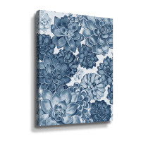 Dakota Fields Soft Aegean Teal Blue Grey Watercolor Succulent Plants Wall III Gallery Wrapped