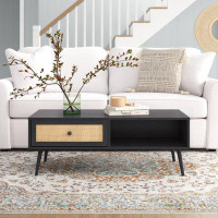 Sand & Stable™ Carrolton 4 Legs Coffee Table with Storage