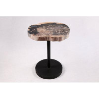 DYAG East Living Edge Petrified Wood Top W Black Metal Stand Accent Table Or Side Table 56