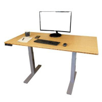 Inbox Zero Gray and Natural Bamboo 52" Dual Motor Electric Office Adjustable Computer Desk