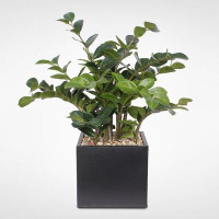 Gracie Oaks Artificial ZZ Foliage Plant in Pot