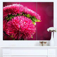 Design Art 'Pink Flowers of Asters on Red' 3 Piece Graphic Art on Wrapped Canvas Set
