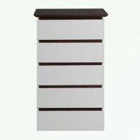 Ebern Designs Modern Accent Chest with five drawers