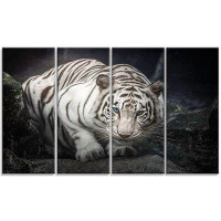 Design Art White Tiger Animal 4 Piece Photographic Print on Wrapped Canvas Set