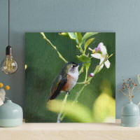 Latitude Run® Ruby-Throated Hummingbird On Green Plant - 1 Piece Rectangle Graphic Art Print On Wrapped Canvas