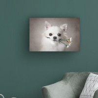 Ebern Designs Chihuahua With Flowers - Wrapped Canvas Graphic Art