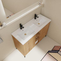 Latitude Run® Jeinny 48'' Free Standing Double Bathroom Vanity with Plastic Top