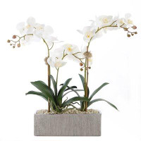 Jenny Silks Real Touch Cream White Phalenophsis Orchids With Geodes & White Pebbles Flower Arrangement In Silver Rectang