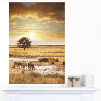 Design Art 'Herd of Zebras Drinking Water' 3 Piece Photographic Print on Wrapped Canvas Set