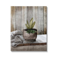 Winston Porter Potted Plant Still Life Canvas Wall Art by Kim Allen