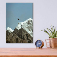 Millwood Pines Millwood Pines ''Himalayan Eagle'' By Epic Portfolio, Acrylic Glass Wall Art,
