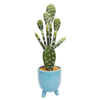 Primrue 18.5" Faux Cactus In Blue Colourful Pot