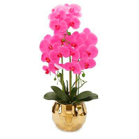 Primrue Pink Orchid Plant In Round Gold Design Vase
