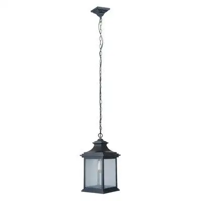 Alcott Hill Peton 1-Light Outdoor Hanging Lantern