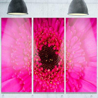 Made in Canada - Design Art 'Macro Photo of Gerbera Flower' 3 Piece Photographic Print on Metal Set