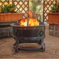 Ebern Designs Trollinger 24.8" H x 27.17" W Steel Wood Burning Outdoor Fire Pit with Lid
