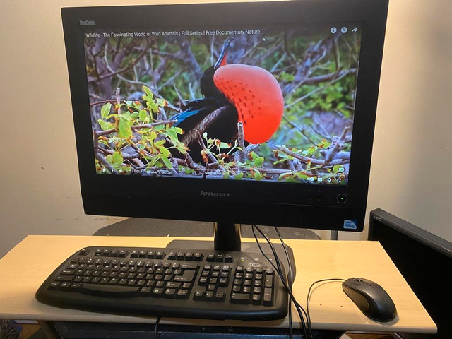 Lenovo All-in-one Desktop M72z with WiFi, Webcam and DVD for Sale, Can Deliver in Desktop Computers in Hamilton