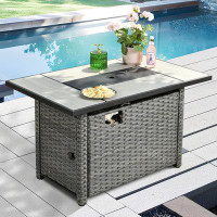 Latitude Run® Dzion 25.19'' H x 42.12'' W Steel Propane Outdoor Fire Pit Table with Lid